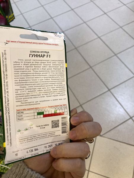 огурец партенокарпический Гуннар F1